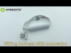 024 Ip Camera Ethernet Cable Factory RJ45 8P8C DC5.5*2.1 Plug Electric Wire Harness Cable Assemblaggio